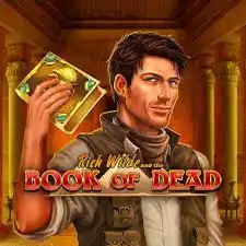 Book of Dead slot visual from Play&#039;n GO available on pistolo-germany.com
